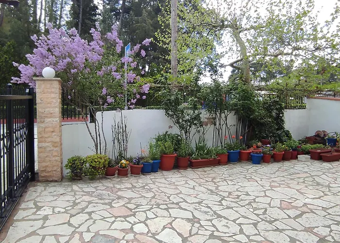Niki's House 1 *