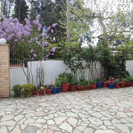 Niki's House 1 *